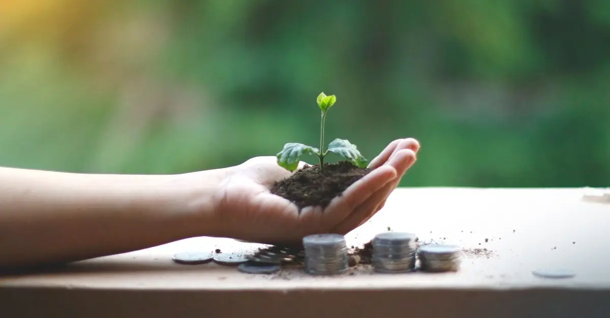 Inversiones Sostenibles: Cómo Invertir con Conciencia