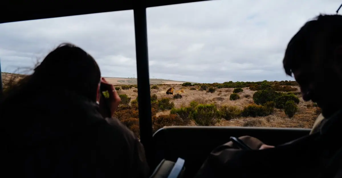 Complete Wildlife Safari Guide: Plan Your Adventure