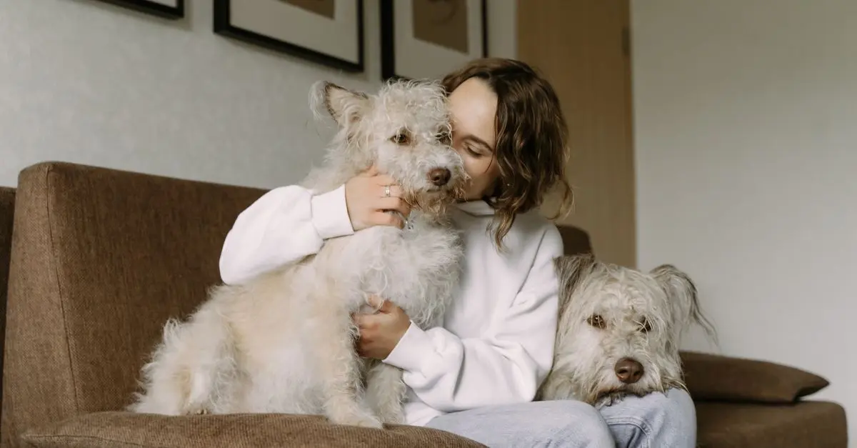 Essential Guide to Pet Care Basics