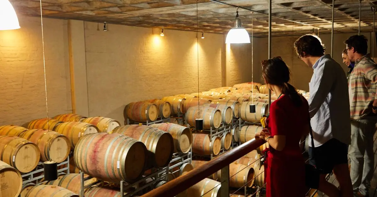 Ultimate Guide to Wine Tours and Tastings