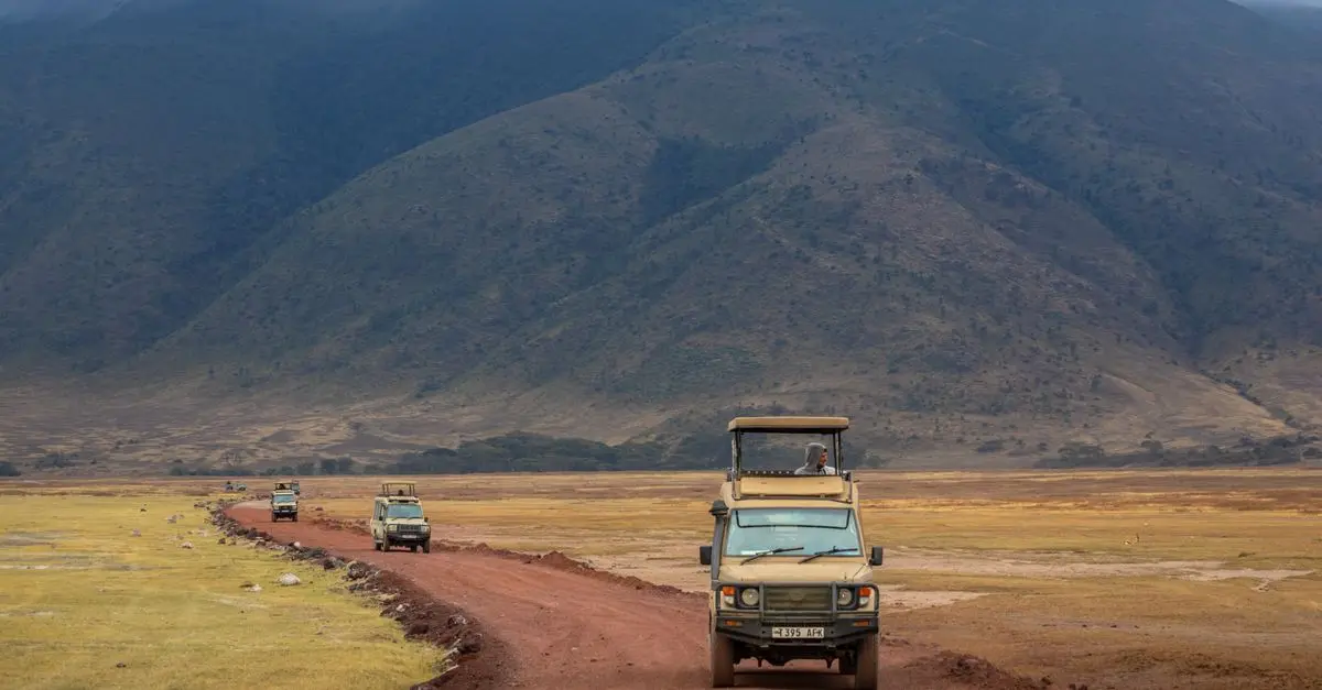 Incredible Wildlife Safari Destinations